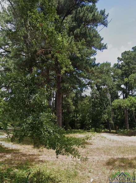 Lot 1 Thelma St, Longview, TX 75604