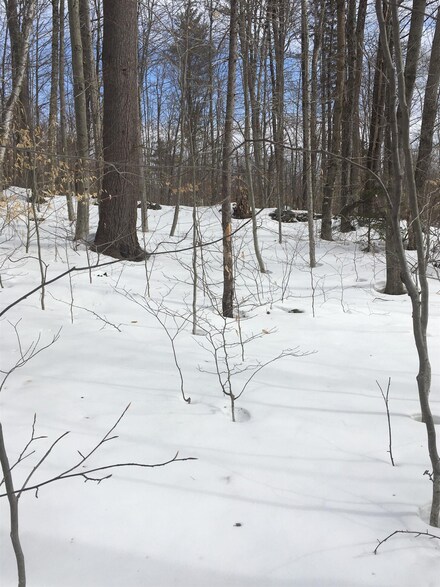 Lot 15-1 Washburn Rd, Alexandria, NH 03222