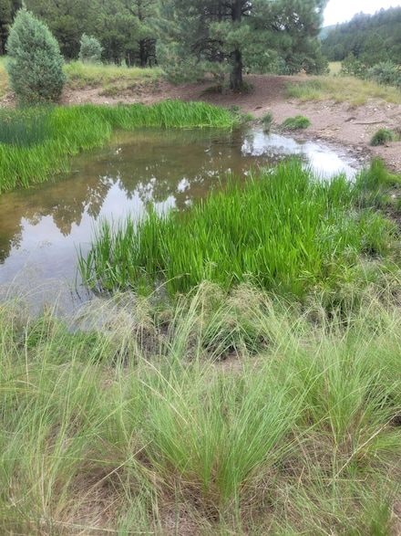 Tract B2 Agua Chiquita Rd, Sacramento, NM 88347