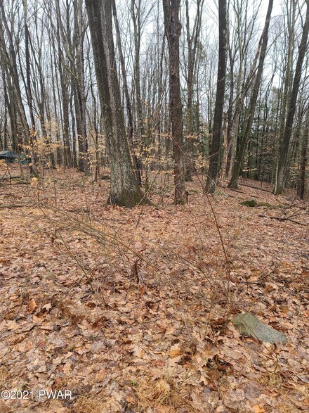 Lot 1 N Briar Hill, Paupack Township, PA 18438