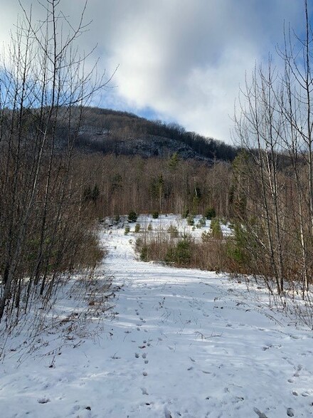 0 Skinny Ridge Rd Unit 4786476, Lyman, NH 03585
