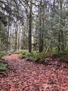 0 SW Glenwood Rd Unit NWM2457669, Port Orchard, WA 98366