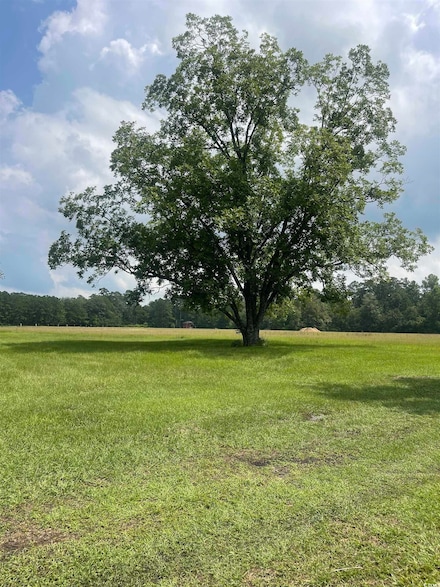 TBD Gurley Rd Unit Tract B1, Loris, SC 29569