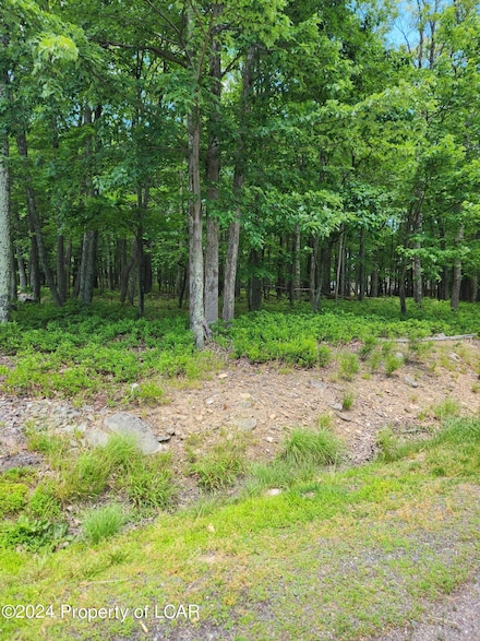 RV089 Turnberry Ln, Hazle Township, PA 18202