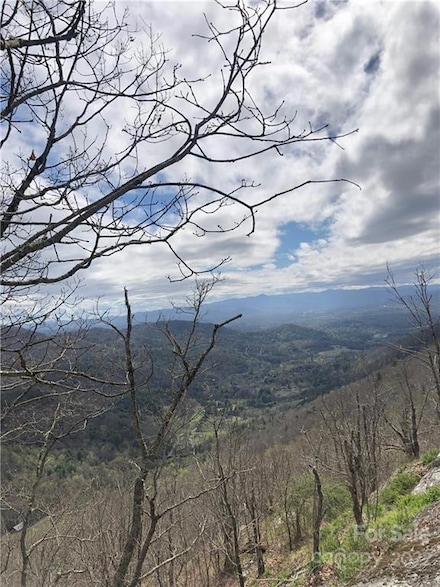 0000 Elk Mountain Scenic Hwy, Asheville, NC 28804