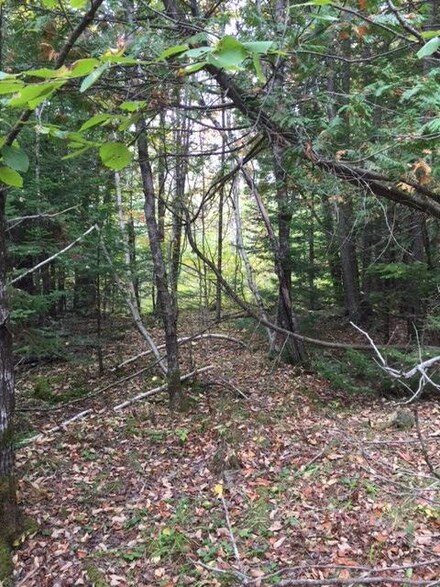 M4 Lot 1 Quinn's Flats (Joaquin Rd) Rd, Athens, ME 04912