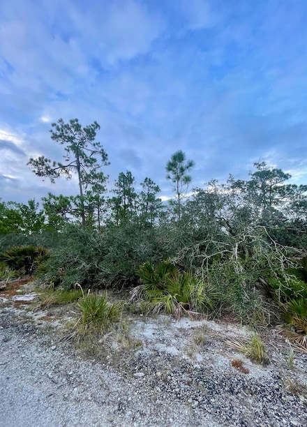 3438 Alachua Ave, Sebring, FL 33875