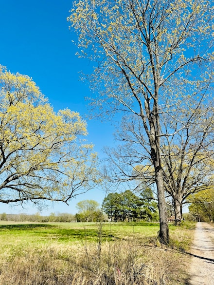 64 James Village Rd, Batesville, AR 72501