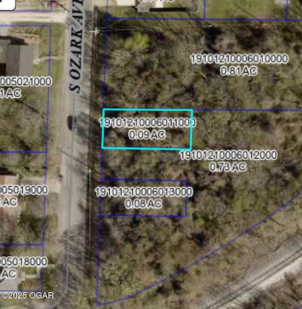 831 S Ozark Ave, Joplin, MO 64801