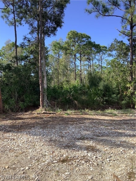 8945 Evergreen Ln, Saint James City, FL 33956