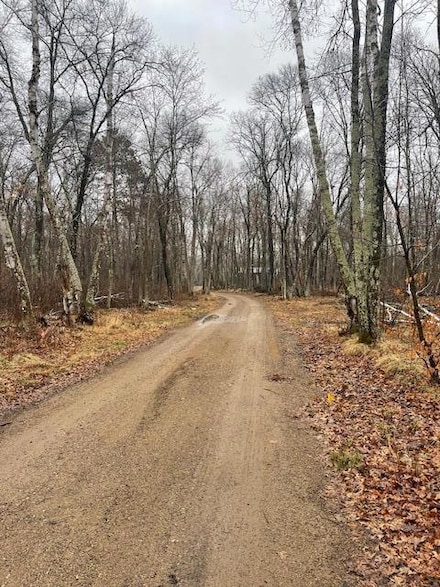 0 Levi Ln Unit NST6710829, Crosslake, MN 56442