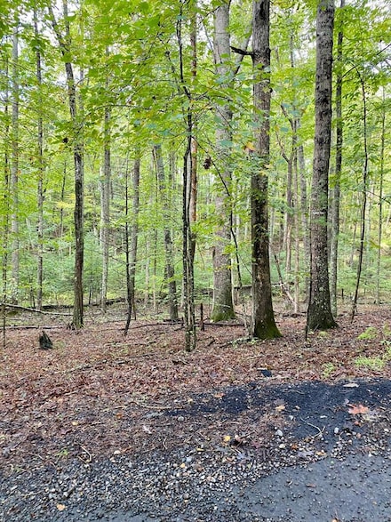 35 Meridian Ln, Hillsville, VA 24343