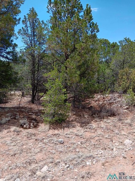 Lot 53 Johnnys Dr, Timberon, NM 88350