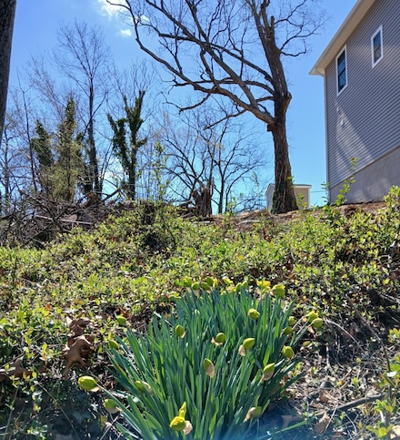 0 Church Ave SE Unit 915303, Roanoke, VA 24017