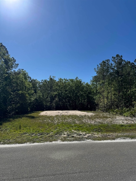 XX Old Palmetto Path, Saint Marks, FL 32355