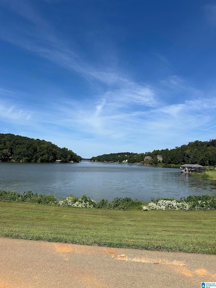 0 Lake Point Dr Unit 304 21431282, Lincoln, AL 35096