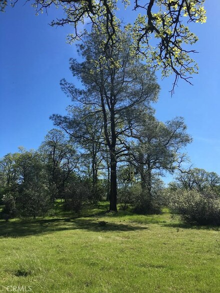 6800 Rancheria Creek Rd, Midpines, CA 95345