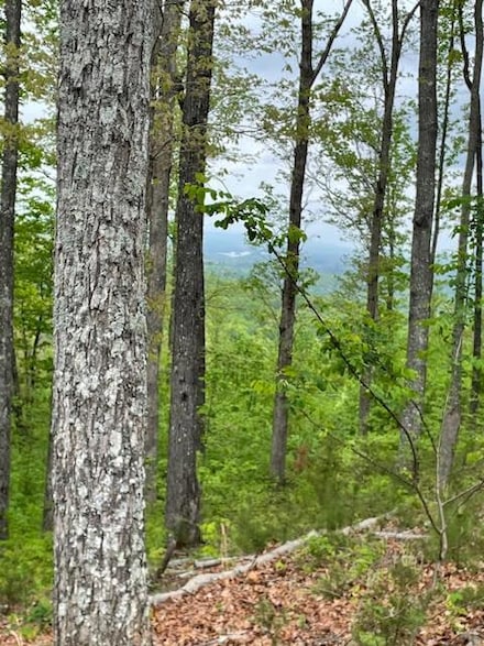 LOT 91 Winding Ridge, Blairsville, GA 30512