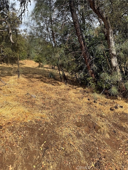12504 Lakeview Dr, Clearlake Oaks, CA 95423