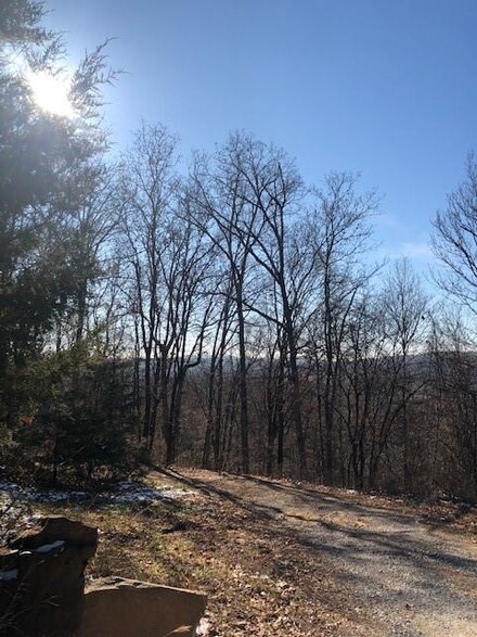 11763 Bunyard Rd, Winslow, AR 72959