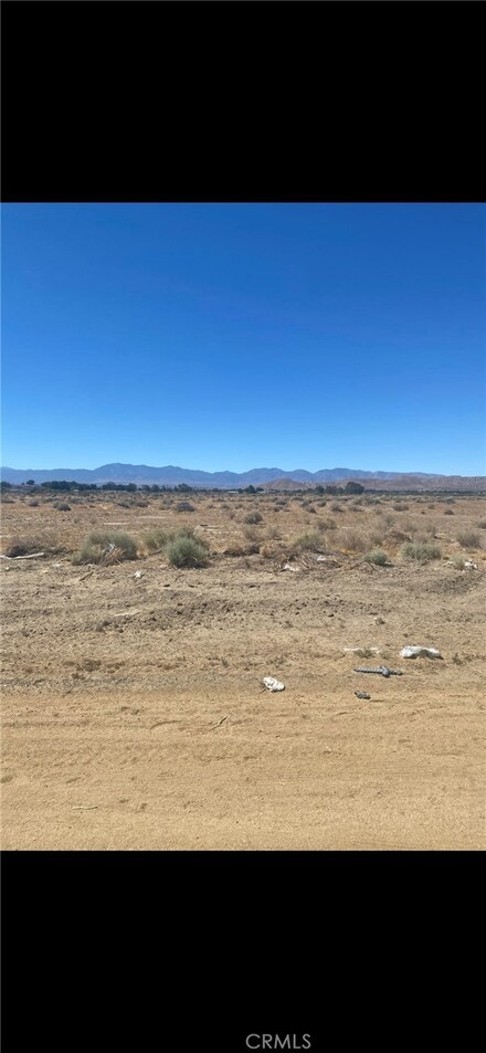 168 Ste (Drt) Vic Ave, Lake Los Angeles, CA 93535