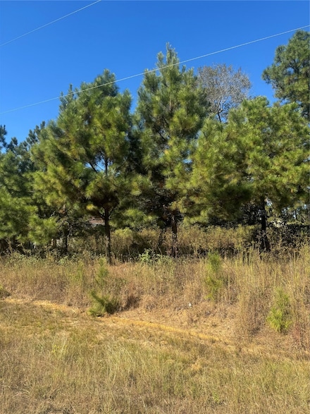 33 County Road 3414, Cleveland, TX 77327