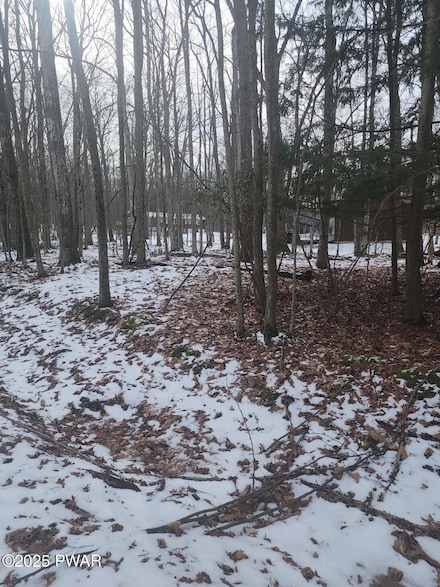 0 Chamonix Ln, Palmyra Township, PA 18464