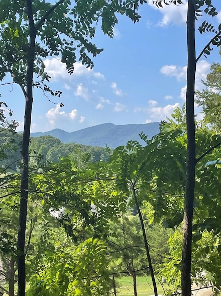 00 Brookstone Forest Way, Franklin, NC 28734
