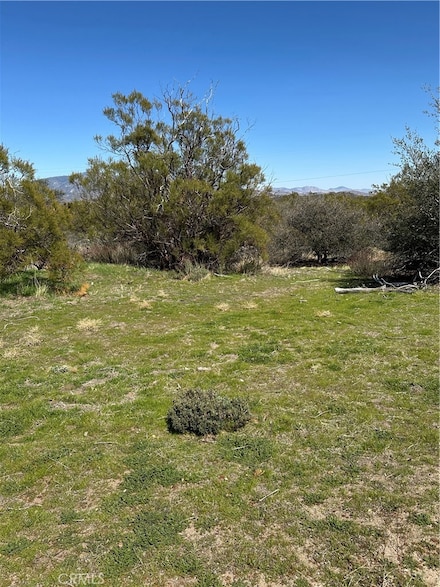 44805 Chapman Rd, Anza, CA 92539