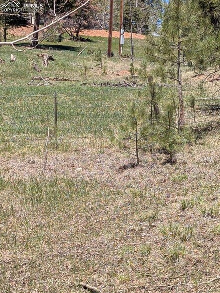 TBD Ute Trail, Woodland Park, CO 80863
