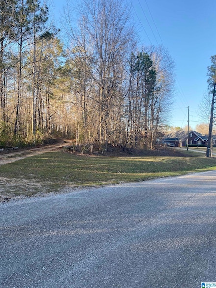 12279 County Road 59, Verbena, AL 36091