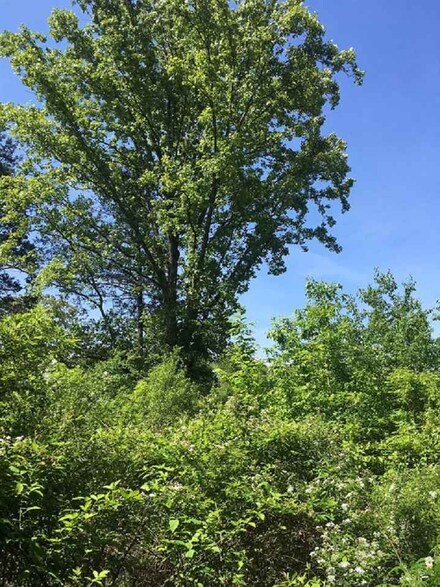 3045 Castalian Springs Rd, Durant, MS 39063