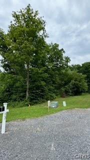 Lot #5 Calemad Dr, Sennett, NY 13021