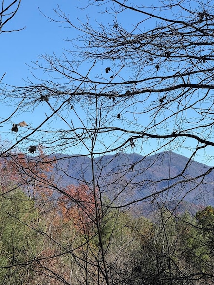 00 Sky Harbour Trace, Andrews, NC 28901