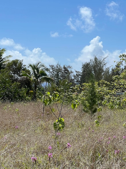 0 Oliana Dr, Pahoa, HI 96778