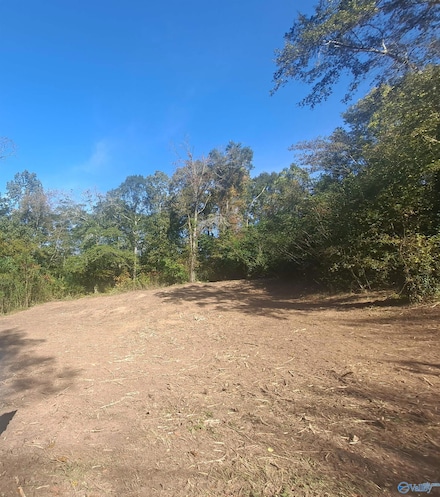 0.30 Mccoy St, Guntersville, AL 35976