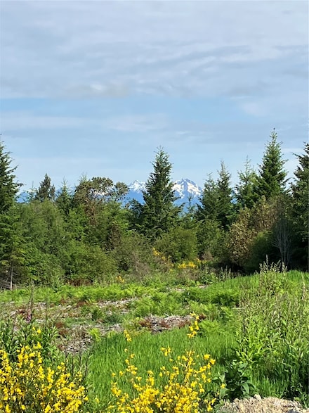 1 E Fir Ct, Shelton, WA 98584