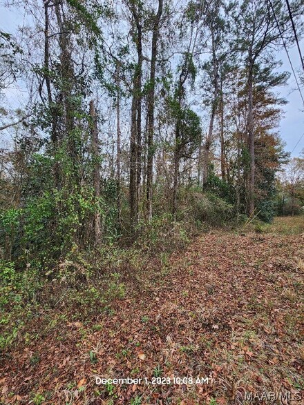 0 Pine St, Enterprise, AL 36330