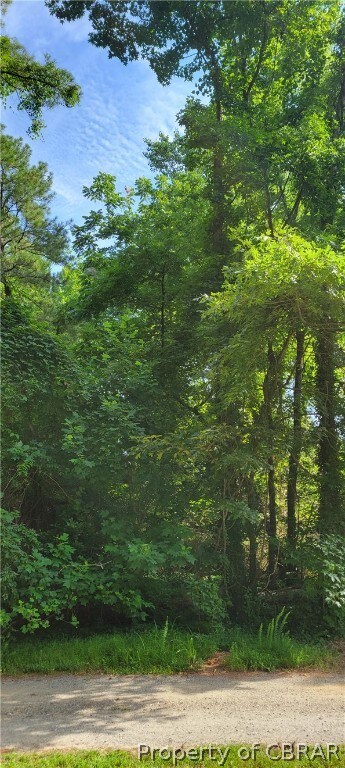 00 Columbine Dr, Pine Top, VA 23071
