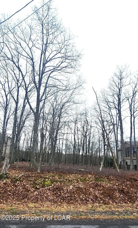 LV Lot 449 Buttonbush Ln, Hazle Township, PA 18202