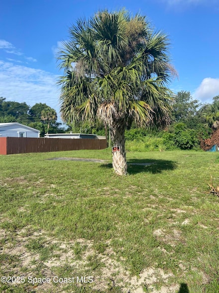 6989 Dahlia Dr, Sharpes, FL 32927