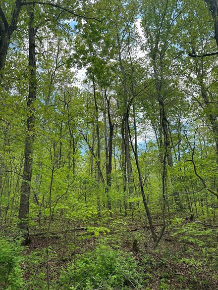 Tract 1b River Rd, Decatur, TN 37322