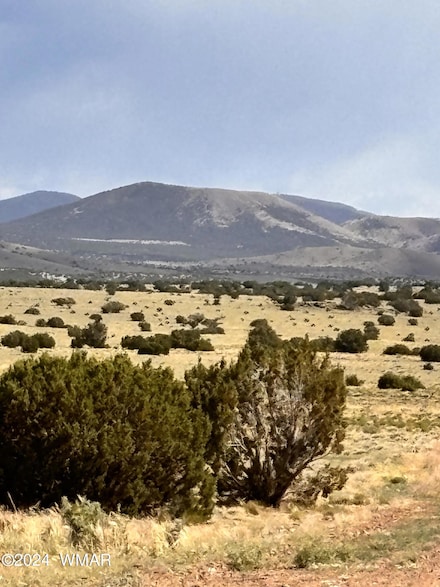 58B Thorn Ln, Concho, AZ 85924
