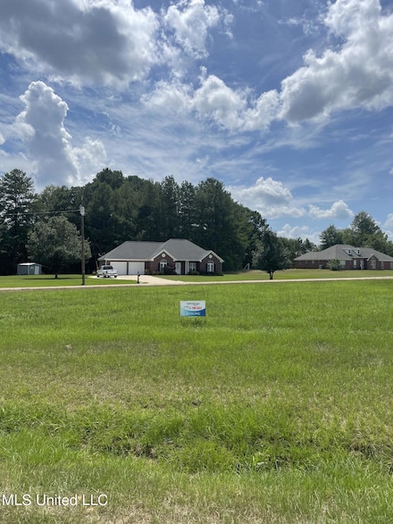 01 Chessie Ln, Carthage, MS 39051