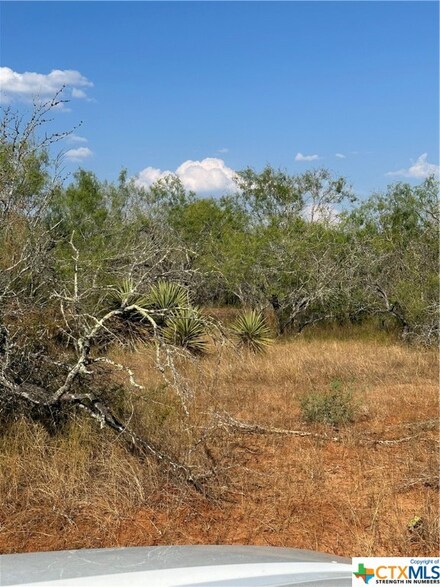 5986 Fm 1107 Unit B, Stockdale, TX 78160