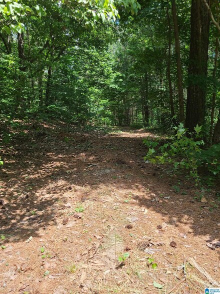 271 Way Back Ln, Hayden, AL 35079