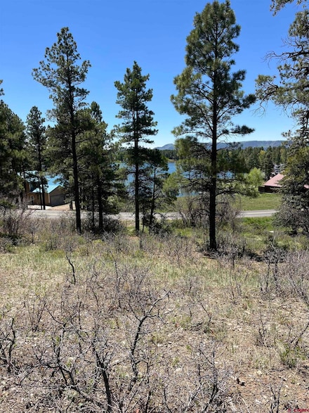 1318 Cloud Cap Ave, Pagosa Springs, CO 81147