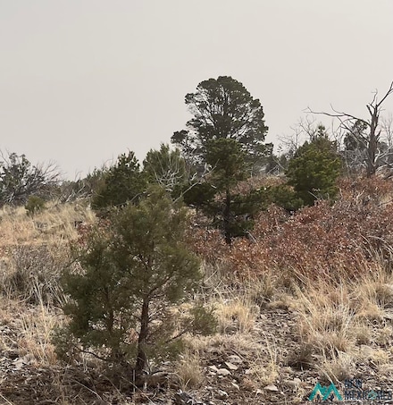 Lot 4 Browning St, Timberon, NM 88350