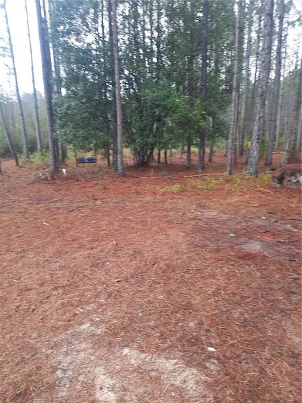 540 SW 326th Ave, Steinhatchee, FL 32359