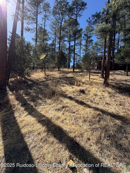 187 Juniper Rd, Ruidoso, NM 88345